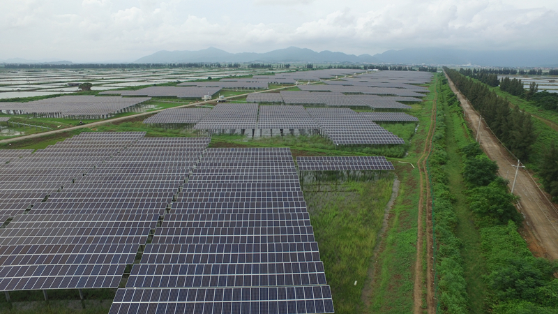 1551234904778359.jpg 通威臺山25mw-l.jpg